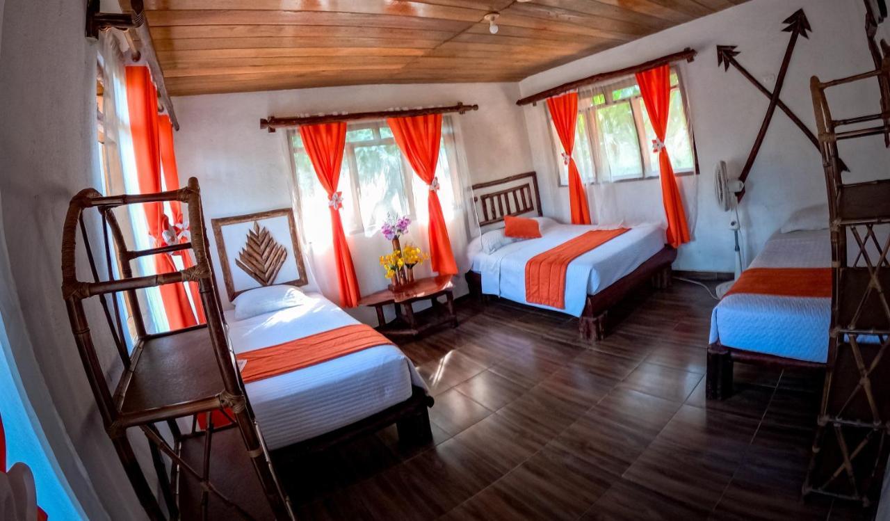 Suchipakari Amazon Eco -Lodge & Jungle Reserve Puerto Misahuallí Eksteriør bilde