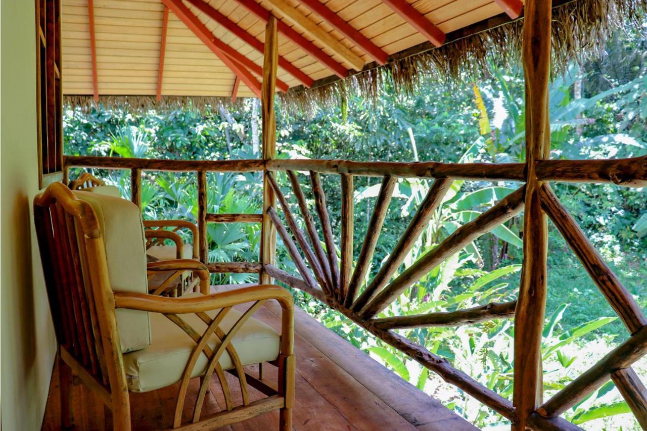 Suchipakari Amazon Eco -Lodge & Jungle Reserve Puerto Misahuallí Eksteriør bilde