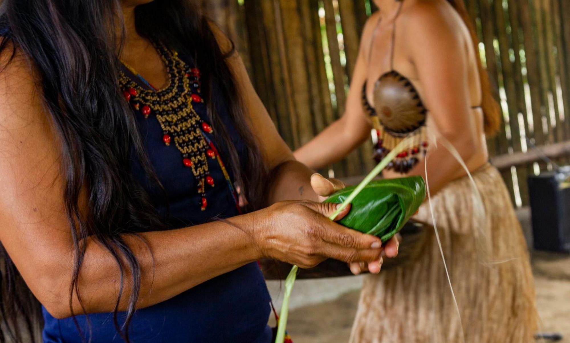 Suchipakari Amazon Eco -Lodge & Jungle Reserve Puerto Misahuallí Eksteriør bilde