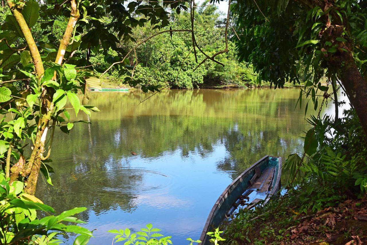 Suchipakari Amazon Eco -Lodge & Jungle Reserve Puerto Misahuallí Eksteriør bilde